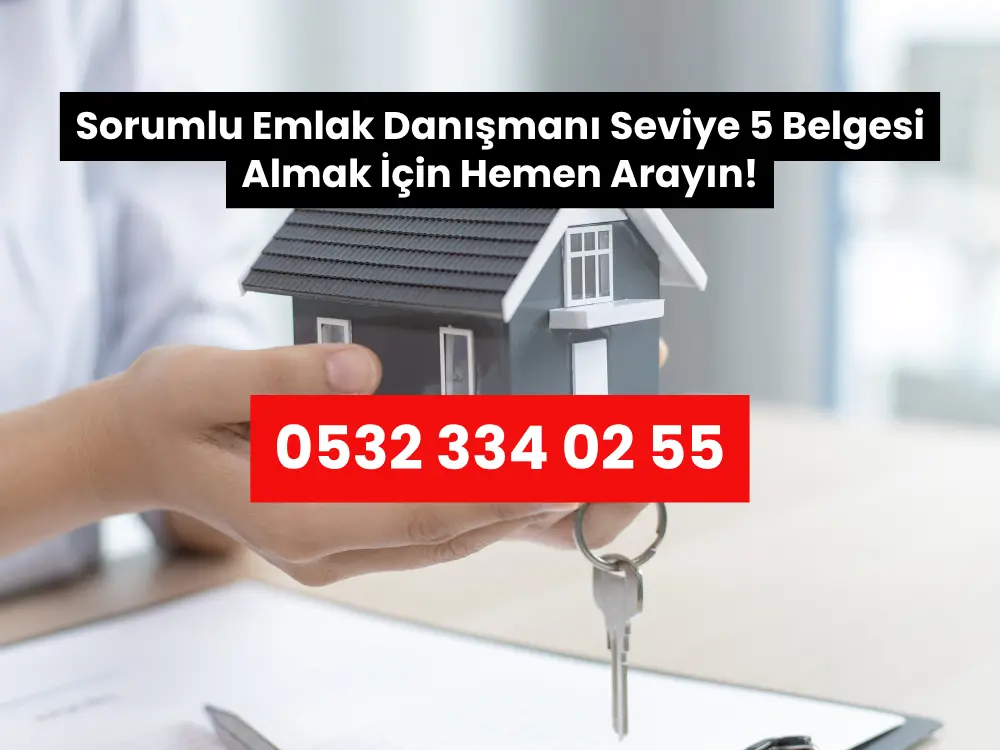 seviye 5