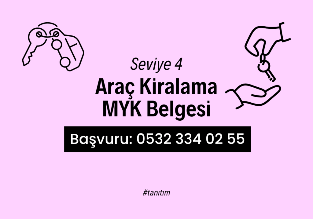 araç kiralama seviye 4